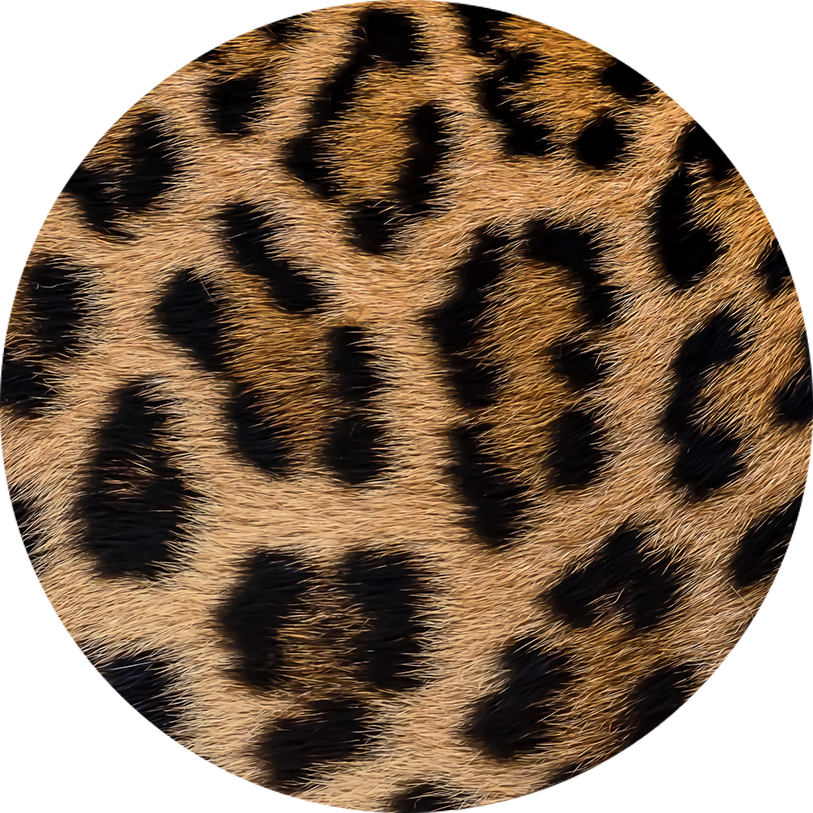 Custom Coasters - Set of 2, 4 or 8, Neoprene Sublimated Coasters
