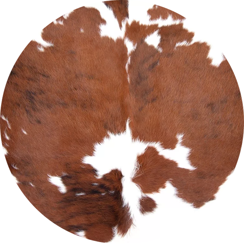 Custom Coasters - Set of 2, 4 or 8, Neoprene Sublimated Coasters